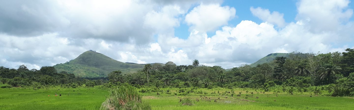 Foya district Liberia