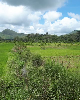 Foya district Liberia