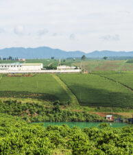 Sustainable coffee sourcing area in Lam Dong SourceUp Compact Vietnam