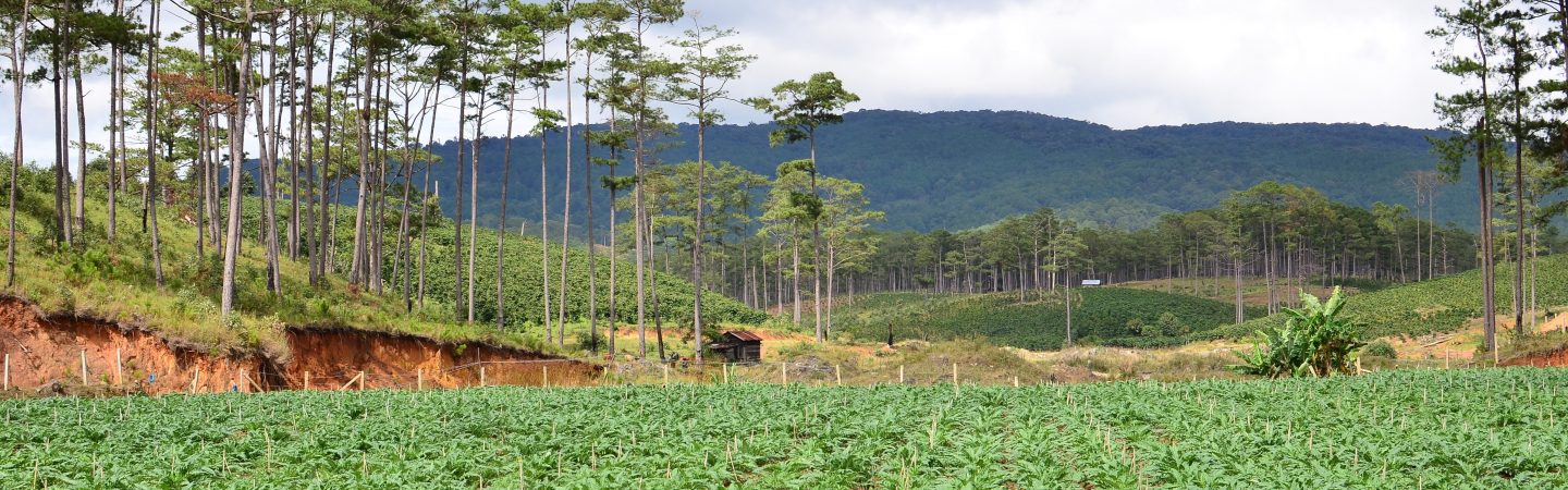 Landscape approaches in Central Highlands, Vietnam